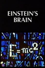 Watch Relics: Einstein's Brain