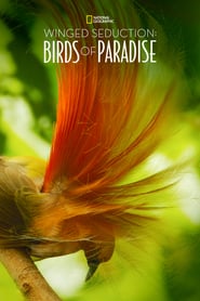 Watch Winged Seduction: Birds of Paradise