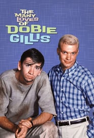 Watch The Many Loves of Dobie Gillis