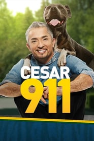 Watch Cesar 911