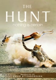 Watch The Hunt