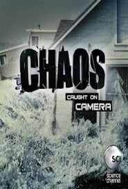 Watch Chaos Caught on Camera