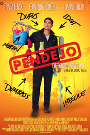 Watch Pendejo (Idiot)