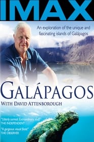 Watch Galapagos 3D: Nature's Wonderland