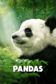 Watch Pandas