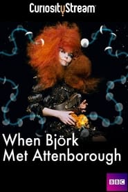 Watch When Björk Met Attenborough