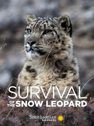 Watch Survival Of The Snow Leopard