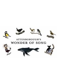 Watch Attenborough's Wonder of Song