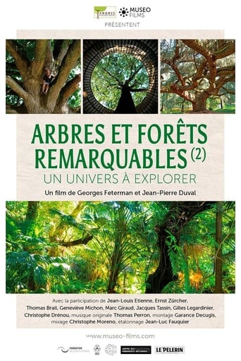 Arbres et forêts Remarquables, un univers à explorer