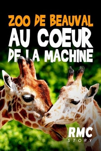 2020 Zoo De Beauval : Au Coeur De La Machine