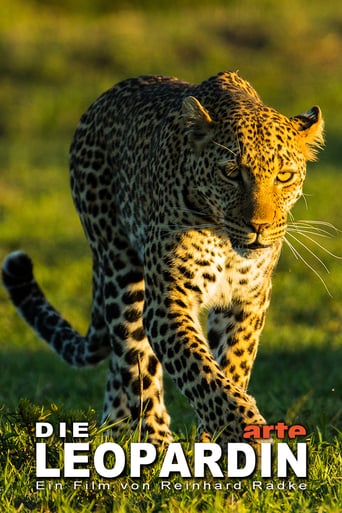 Watch The Leopardess