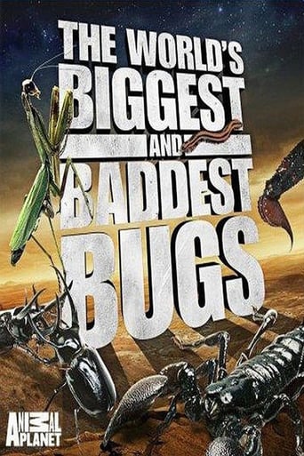 Watch The World's Biggest and Baddest Bugs