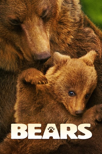 Watch Bears