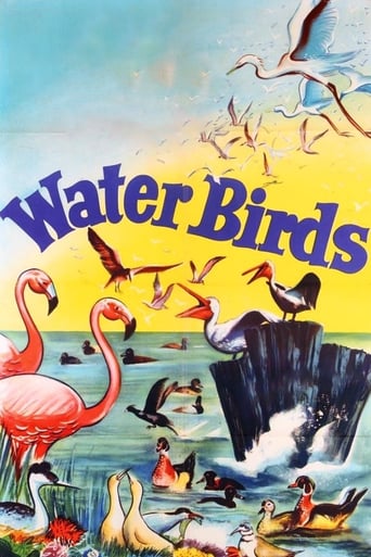 Watch Water Birds