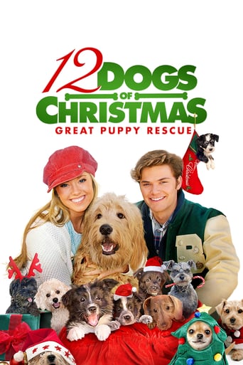 Watch 12 Dogs of Christmas: Great Puppy Rescue