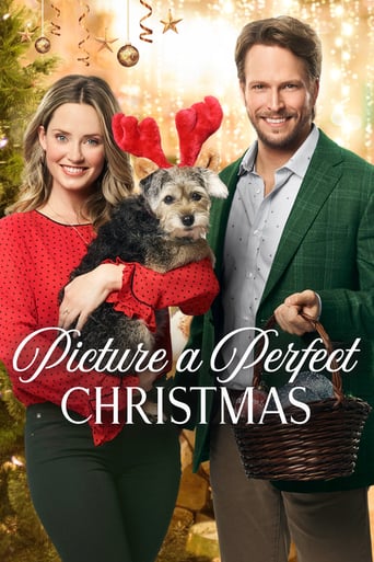 Watch Picture a Perfect Christmas