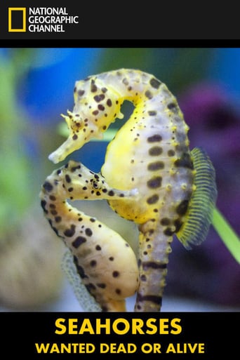 Watch Seahorses: Wanted Dead or Alive