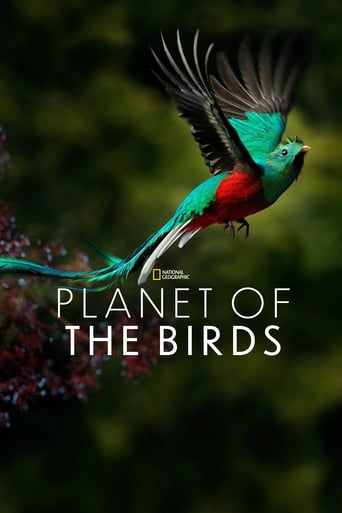 Watch Planet of the Birds