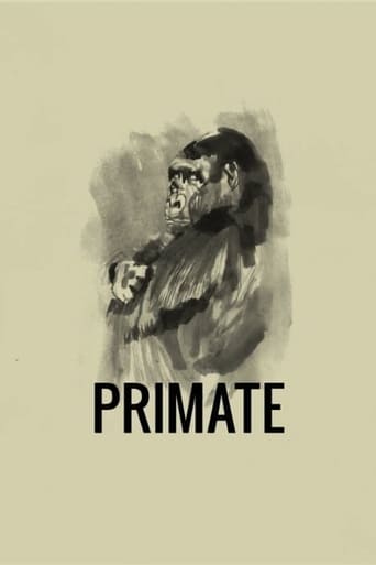 Watch Primate