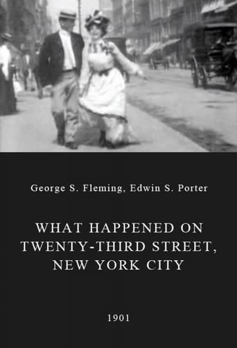Watch What Happened on Twenty-Third Street, New York City