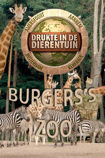 Burgers’ Zoo: Drukte In De Dierentuin