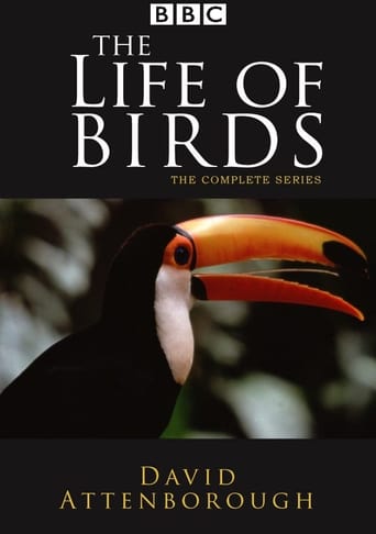 Watch The Life of Birds