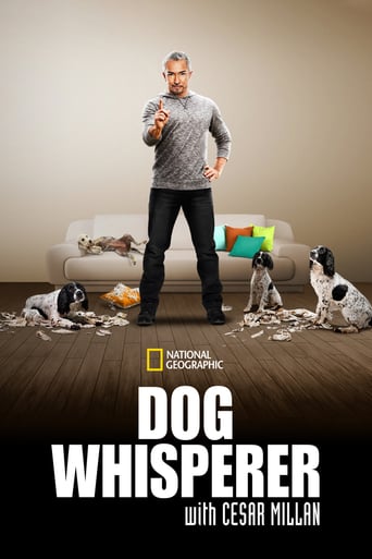 Watch Dog Whisperer