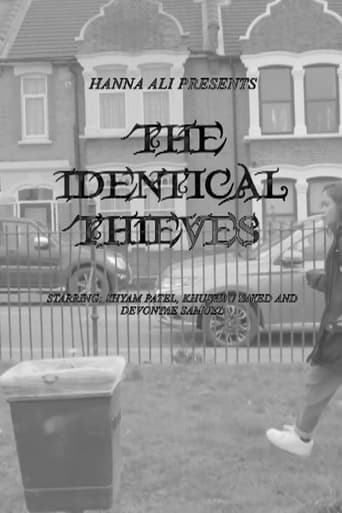 The Identical Thieves