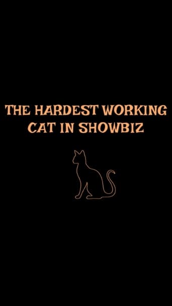 Watch The Hardest Working Cat in Showbiz