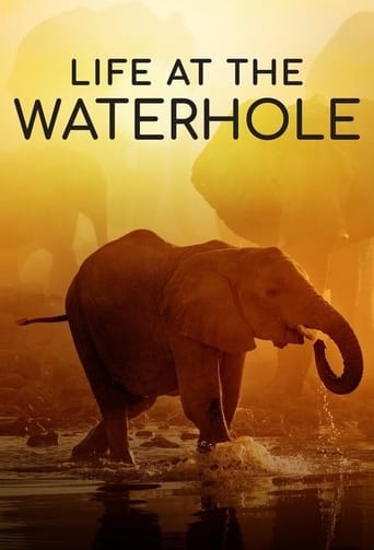 Watch Life at the Waterhole