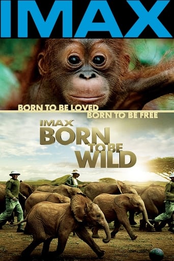 Watch Born to Be Wild