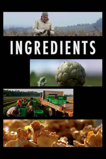 Watch Ingredients