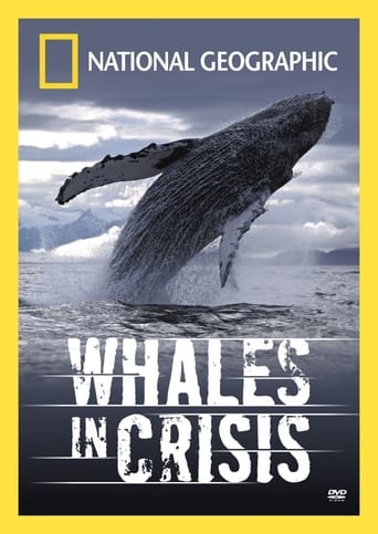 Watch Whales in Crisis
