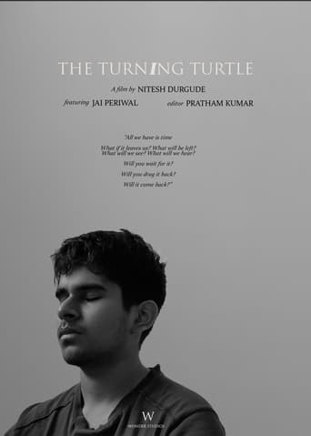 The Turning Turtle