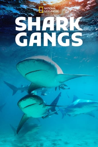 Watch Shark Gangs