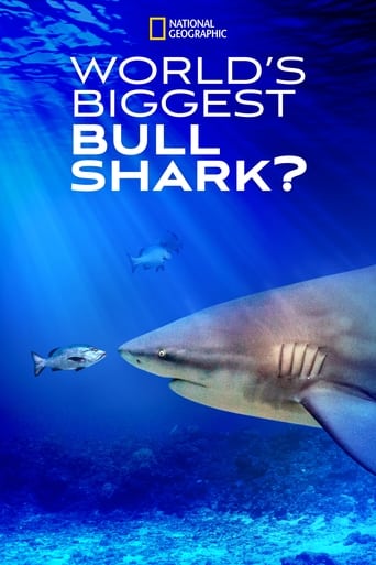 Watch World's Biggest Bull Shark?