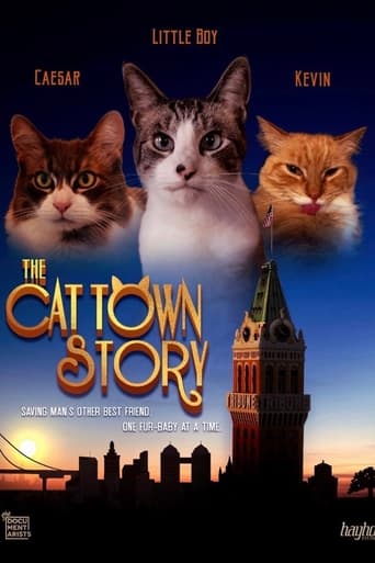 The Cat Town Story