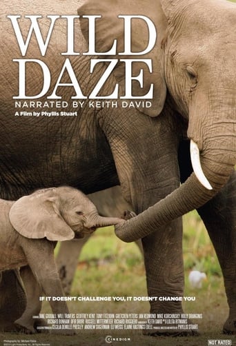 Wild Daze