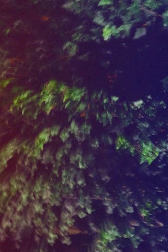 Sweet Green Sunlight