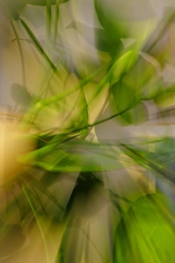 Monstera for Bernard