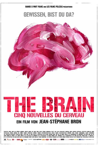 Cinq nouvelles du cerveau
