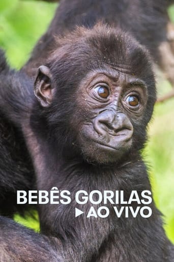 Bebês Gorilas Ao Vivo