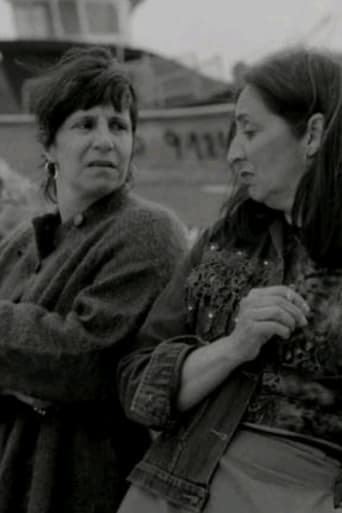 As Gaivotas Cortam o Céu