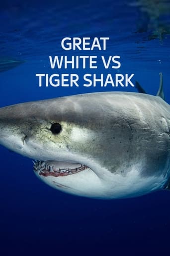 Tubarão Branco vs. Tubarão Tigre