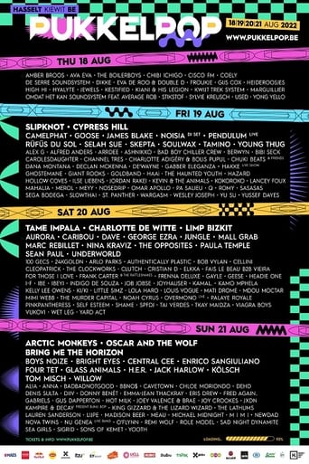 Fleddy Melculy: Live at Pukkelpop