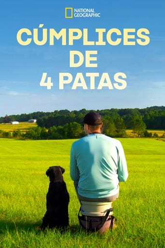 Cúmplices de 4 Patas