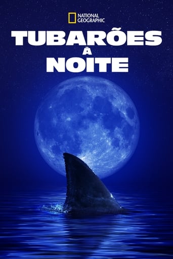 Tubarões à Noite