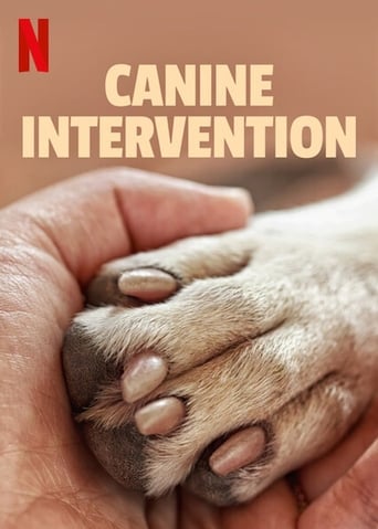 Intervenção Canina