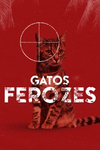 Gatos Ferozes