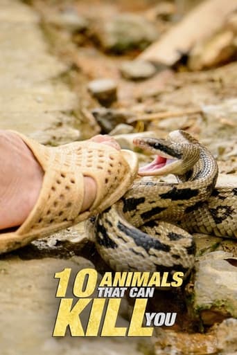 Top 10 Animais Mortais